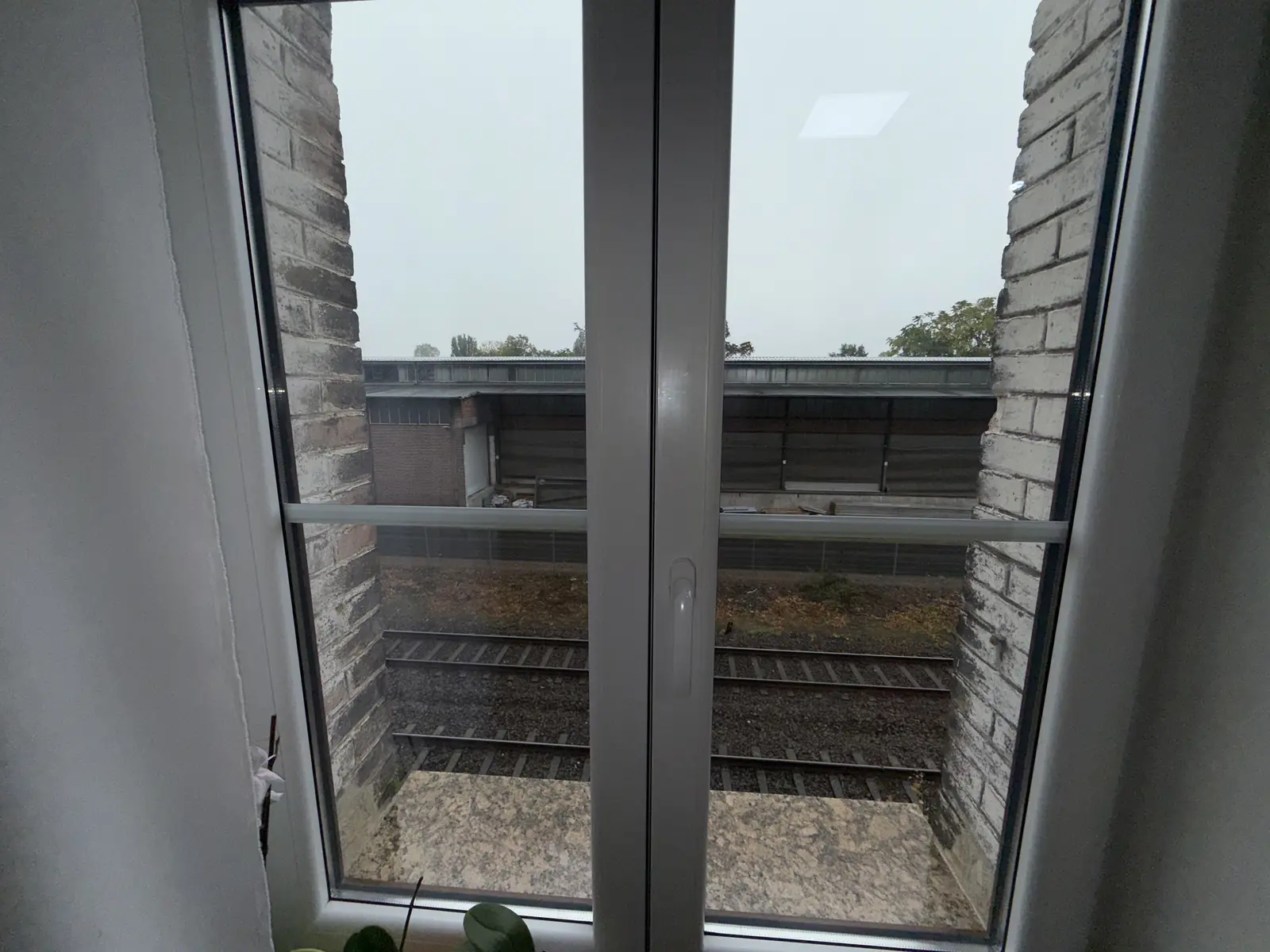 Wohnung 1